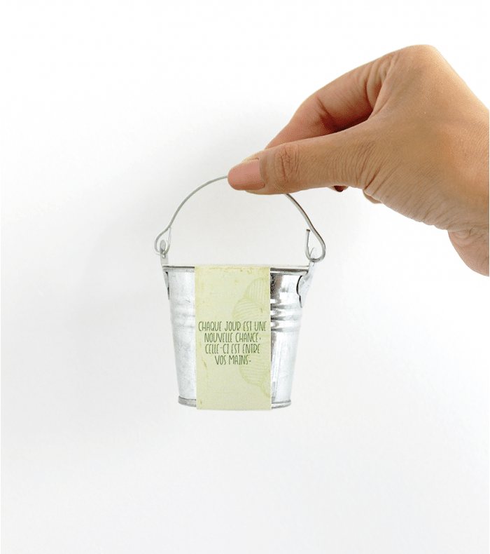 Trèfle à 4 feuilles à faire pousser – Image 4